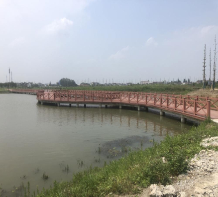 江蘇金壇直溪生態(tài)濕地公園項(xiàng)目
